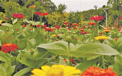 best365官网登录_365手机版游戏中心官网_Bet体育365提款要多久:精准发力 精致美丽 best365官网登录_365手机版游戏中心官网_Bet体育365提款要多久:精准发力 精致美丽